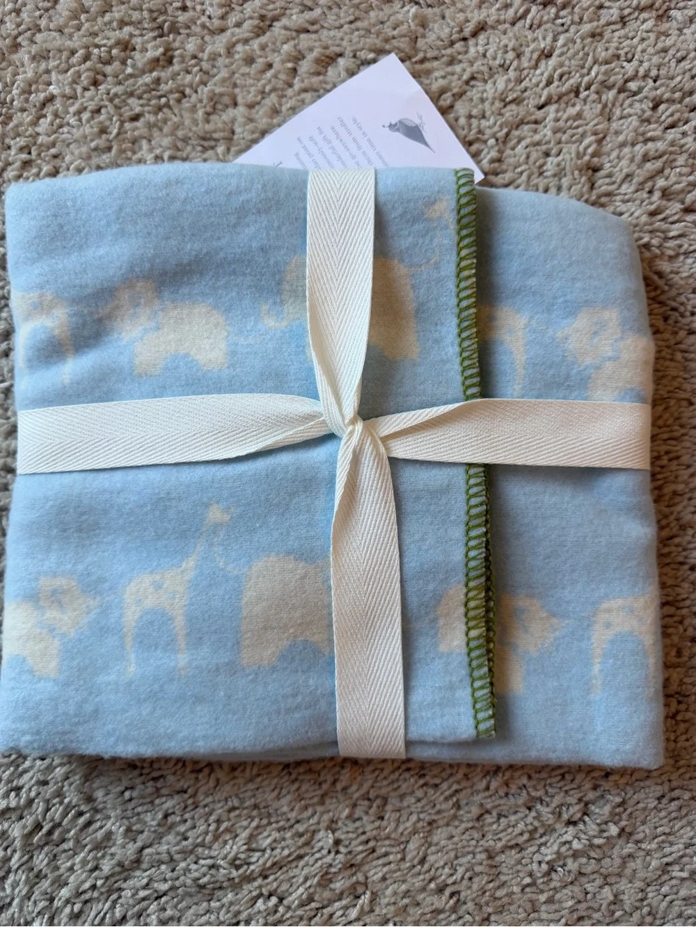 Serena & Lily Safari Baby Blanket